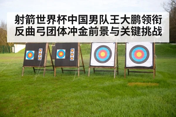 archery target arrows outdoor